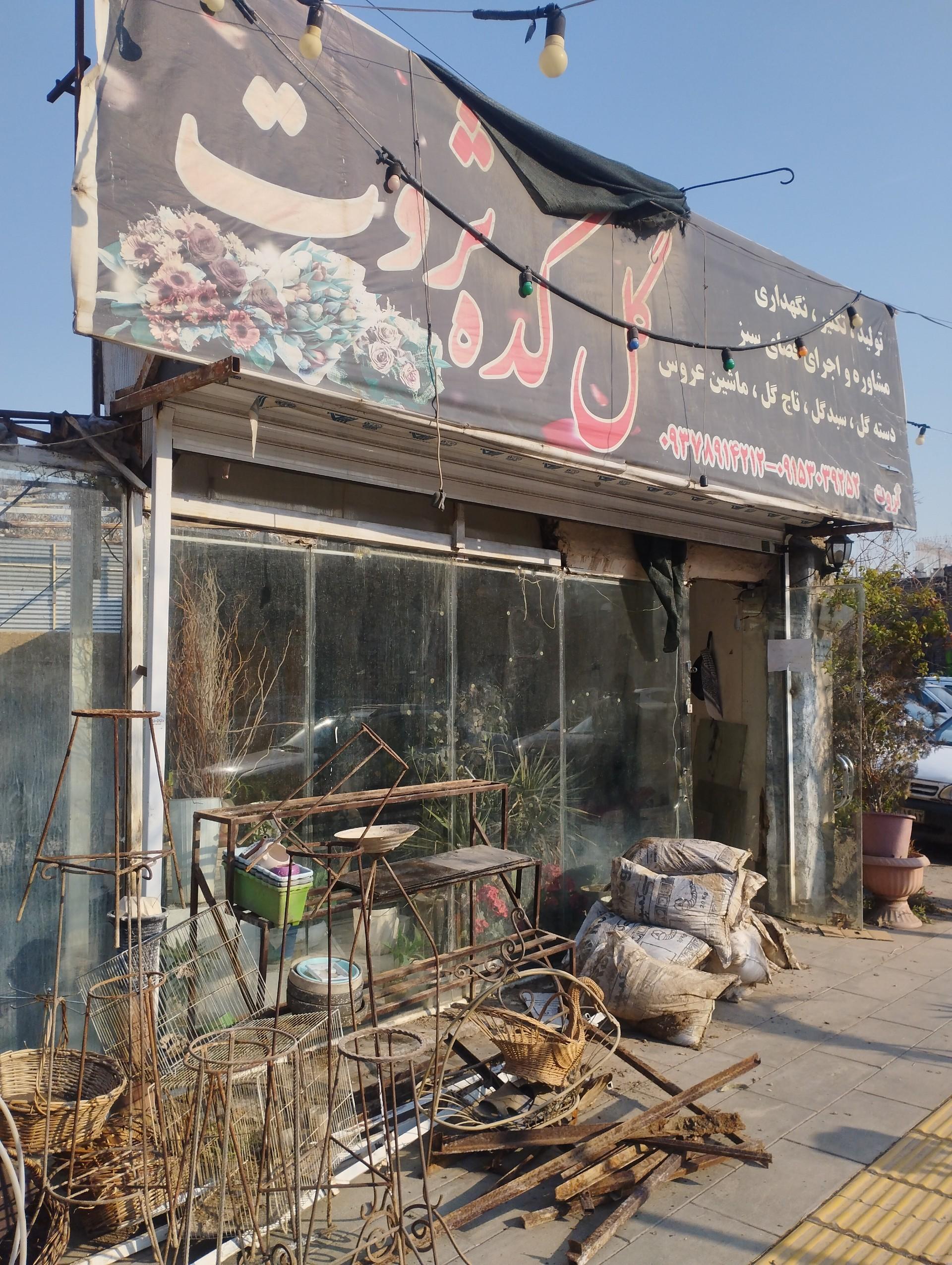 عکس گل و گیاه گلکده