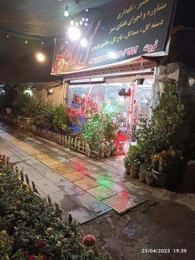 عکس گل و گیاه گلکده