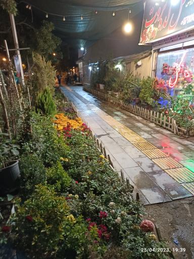 عکس گل و گیاه گلکده