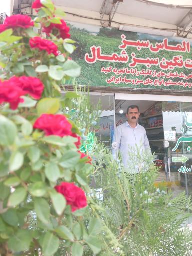 عکس فروشگاه چای و برنج شمال الماس سبز