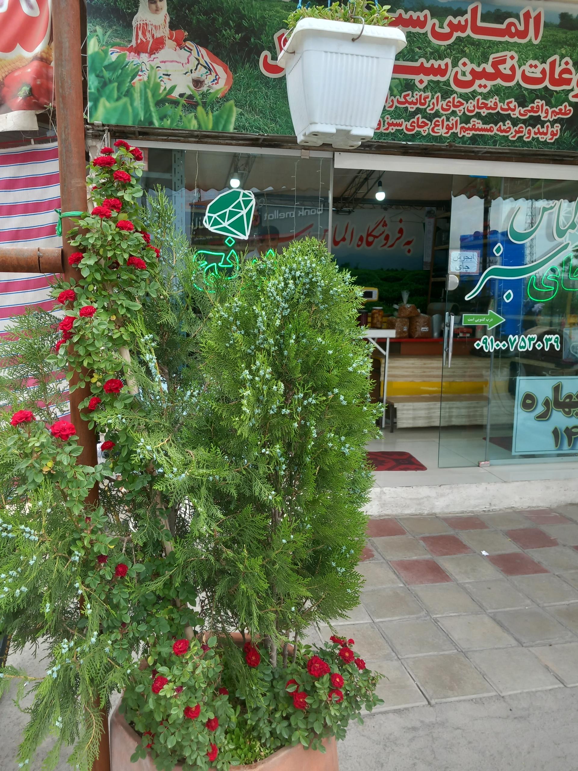 عکس فروشگاه چای و برنج شمال الماس سبز