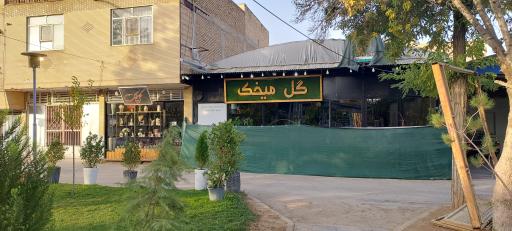 گل میخک
