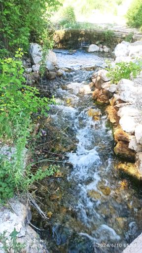 عکس باغ سرچشمه رضایی