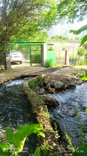 عکس باغ سرچشمه رضایی