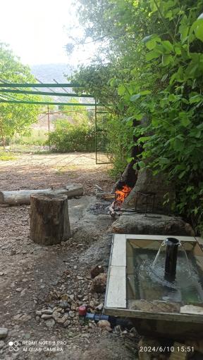عکس باغ سرچشمه رضایی