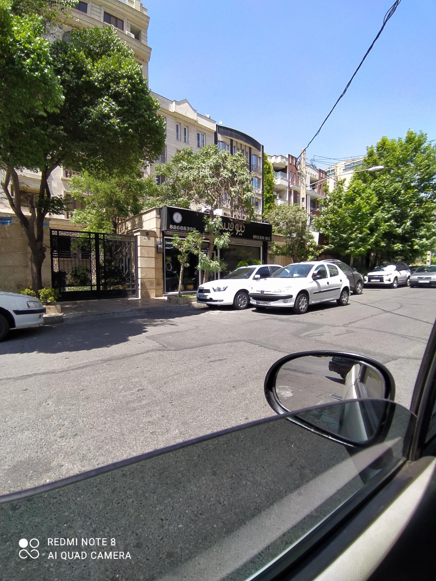 عکس نیو فیس