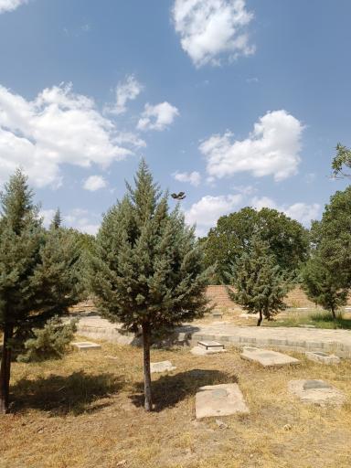 عکس پارک شهدا