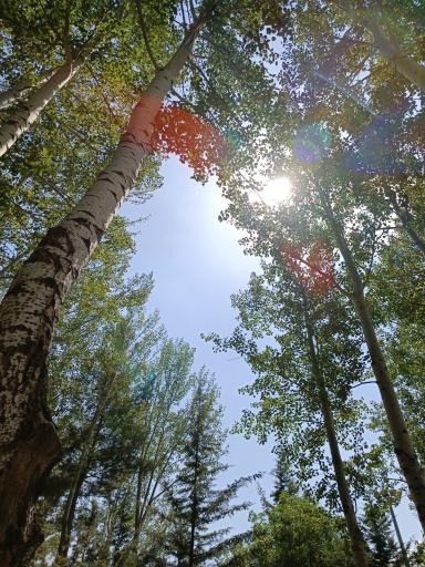 عکس پارک شهدا