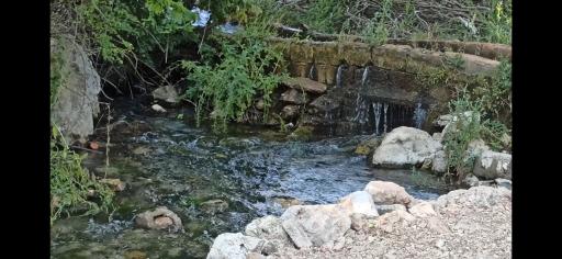 عکس باغ سرچشمه رضایی