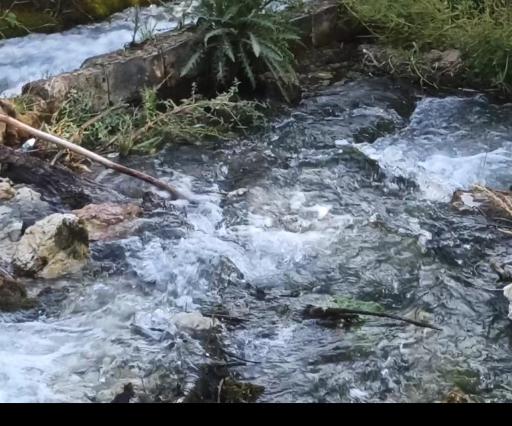عکس باغ سرچشمه رضایی