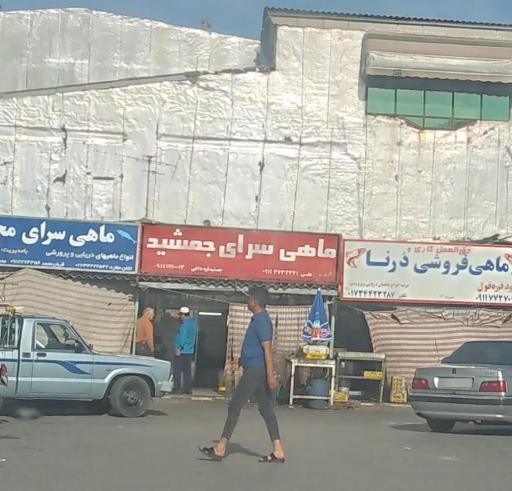 عکس ماهی سرای جمشید قره داغی