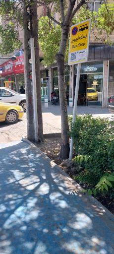 عکس  شهید صدر 3