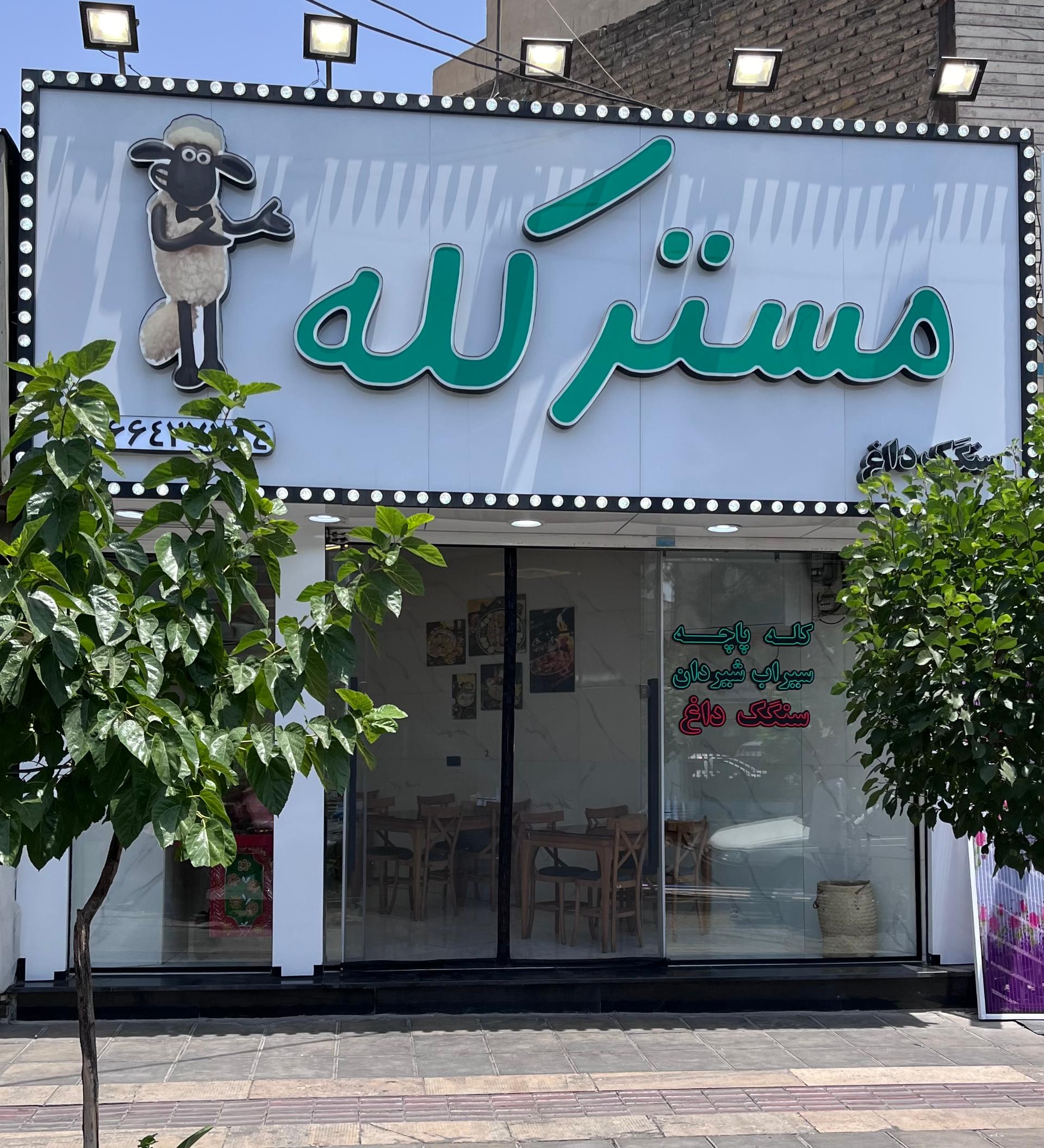 عکس طباخی مستر کله