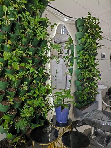 عکس سالن زیبایی فاطمه شنبدی