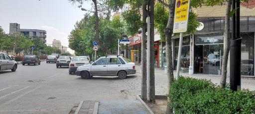 عکس  شهید صدر 3