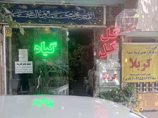 عکس گل و گیاه سوگند