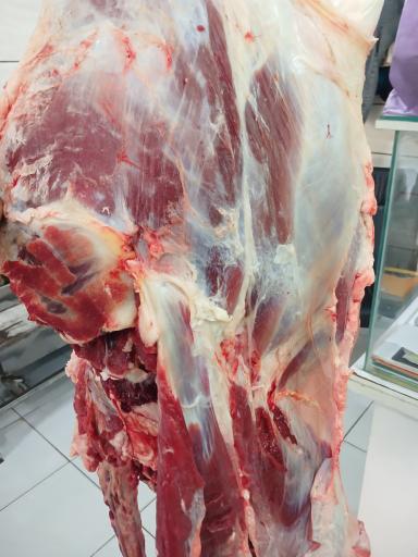 عکس سوپر پروتئین قائم