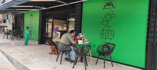 عکس خانه فوتبالدستی سبز