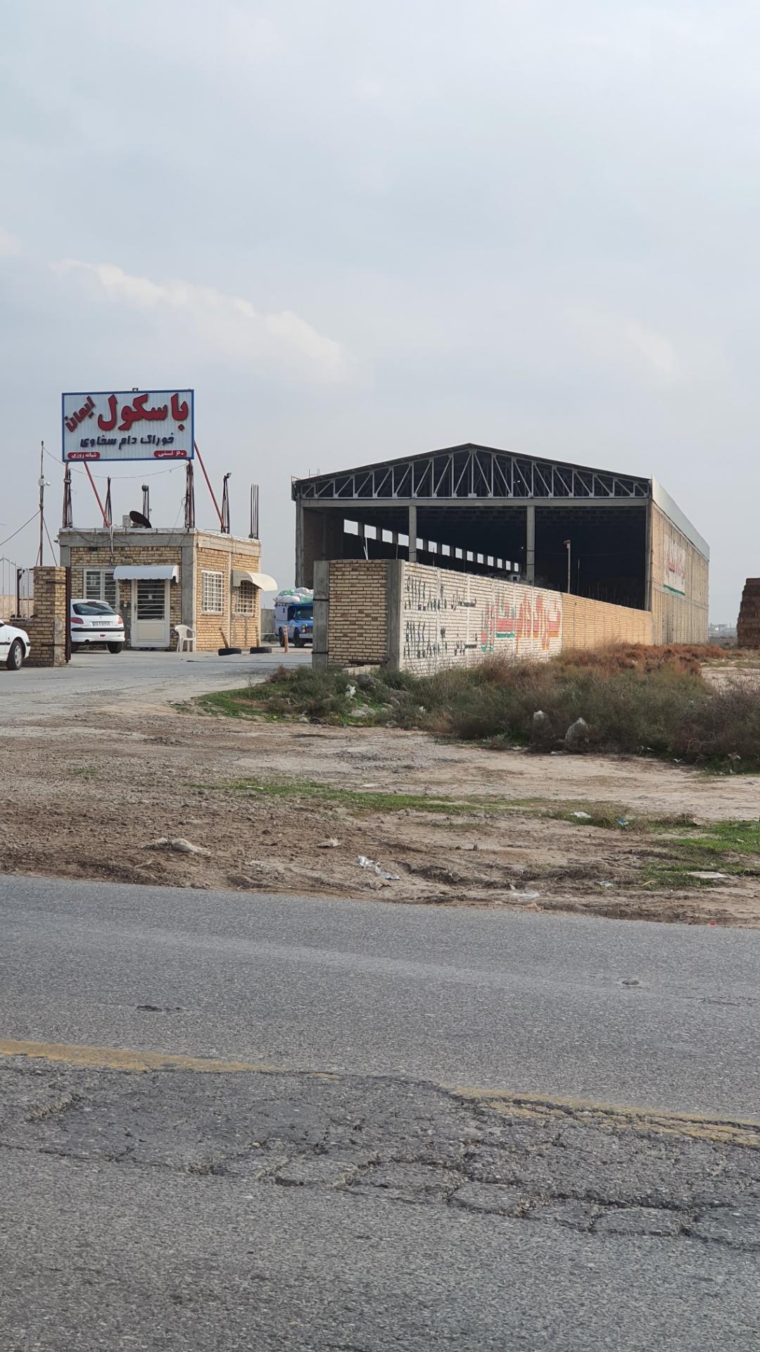 عکس خوراک دام سخاوی