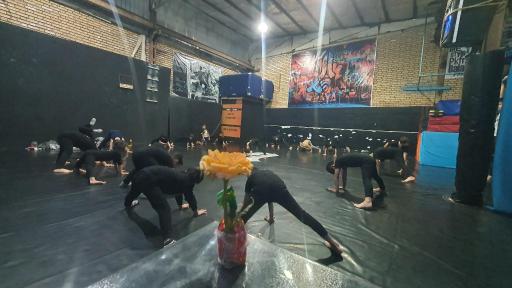 عکس مجموعه ورزشی پایا