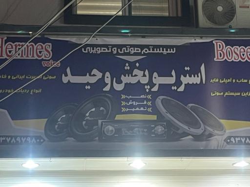 عکس استریو پخش وحید