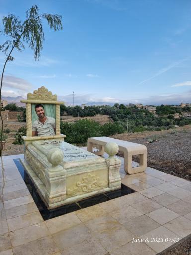 عکس مزار محسن موسوی