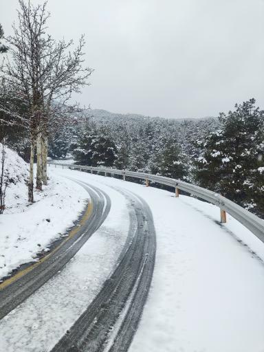 عکس جنگل لویزان