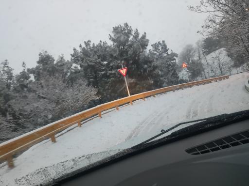 عکس جنگل لویزان