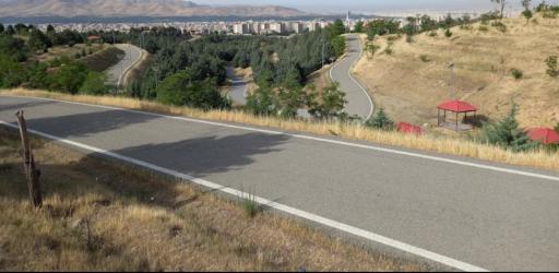 عکس جنگل لویزان