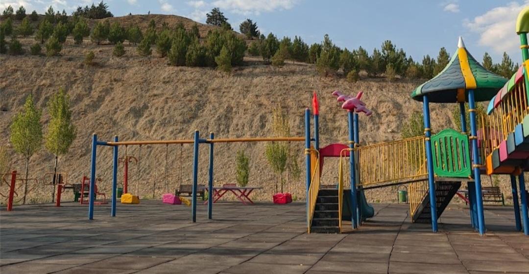 عکس جنگل لویزان