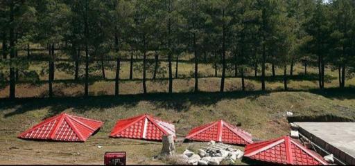 عکس جنگل لویزان