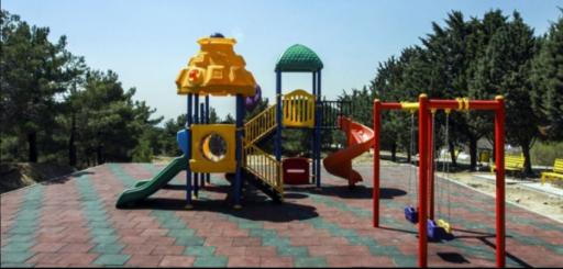 عکس جنگل لویزان