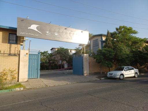 عکس پرستوی آبی ارگ