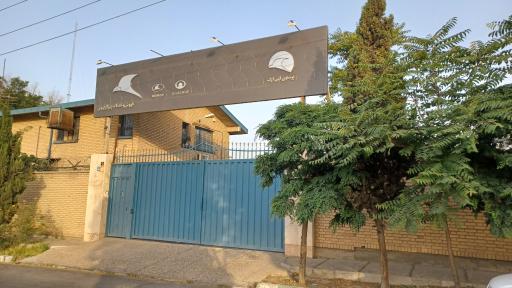 عکس پرستوی آبی ارگ