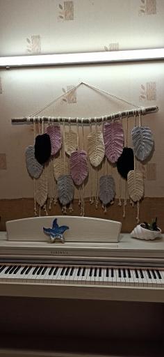 عکس گالری زرین