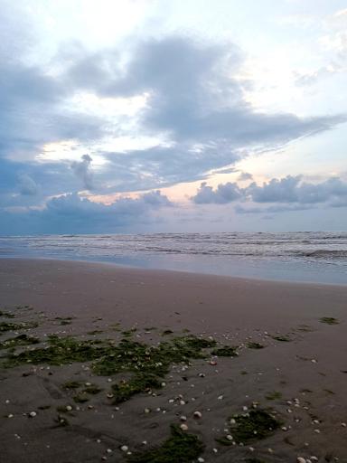 عکس بندر فریدونکنار