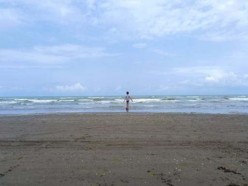 عکس بندر فریدونکنار