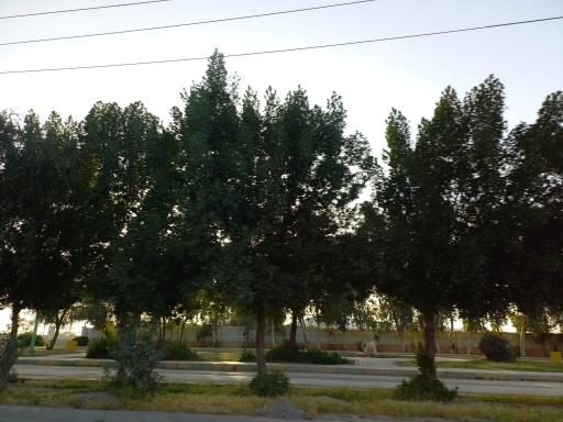 عکس پارک بعثت