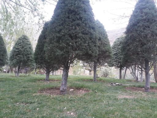 عکس بوستان امیرکبیر