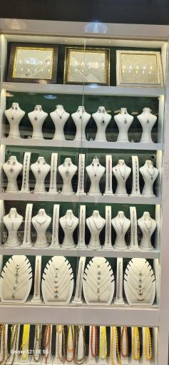 عکس نقره ناصری