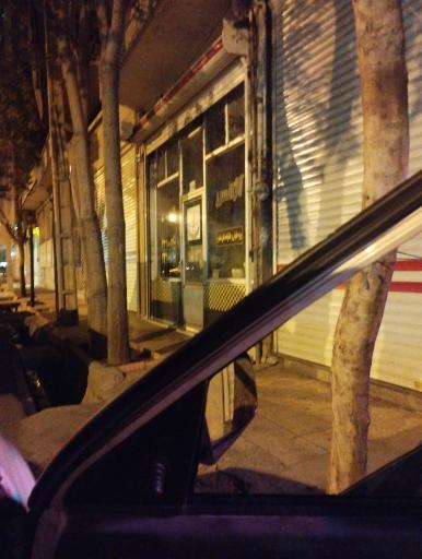 عکس آژانس گل بانو