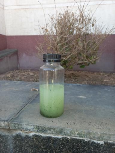 عکس رستوران تالار یزد 