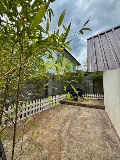 عکس کلبه آبان