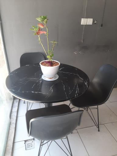 عکس قهوه علی