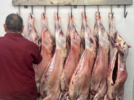 عکس سوپر گوشت رسولی