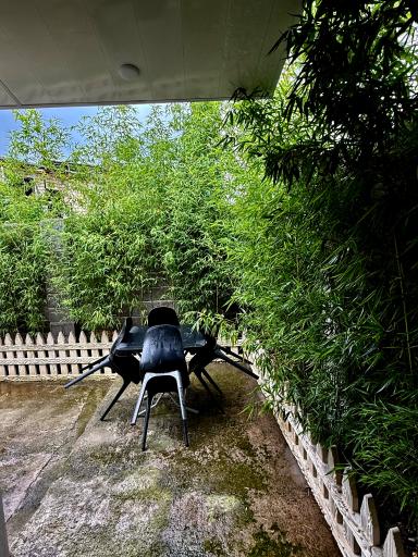 عکس کلبه آبان