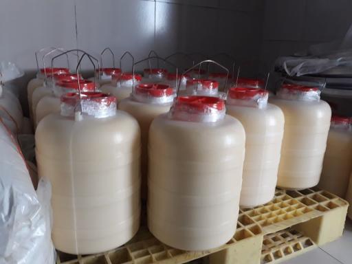 عکس لبنیات طلای زرد سادات