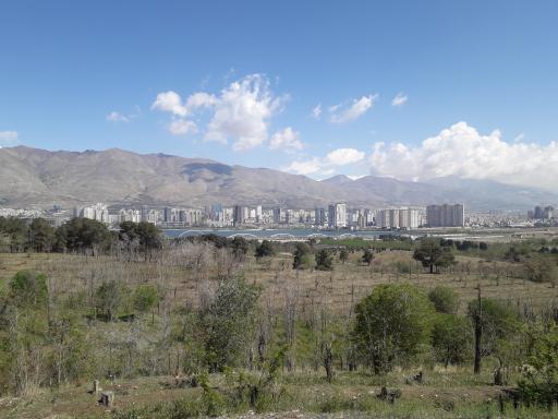 عکس بوستان جنگلی حیات وحش چیتگر