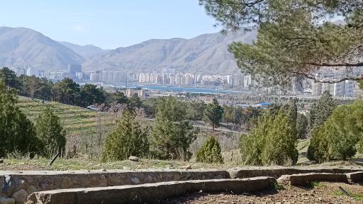 عکس بوستان جنگلی حیات وحش چیتگر