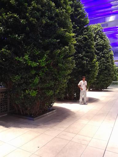 عکس باغ ماهان ایران مال